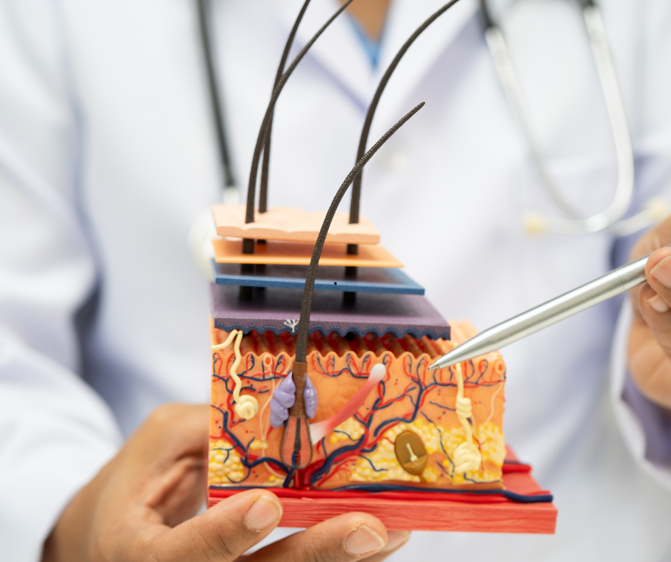 Rụng tóc sau sinh theo Đông y: Nguyên nhân, cách giảm rụng tóc và phục hồi vẻ đẹp thanh xuân
